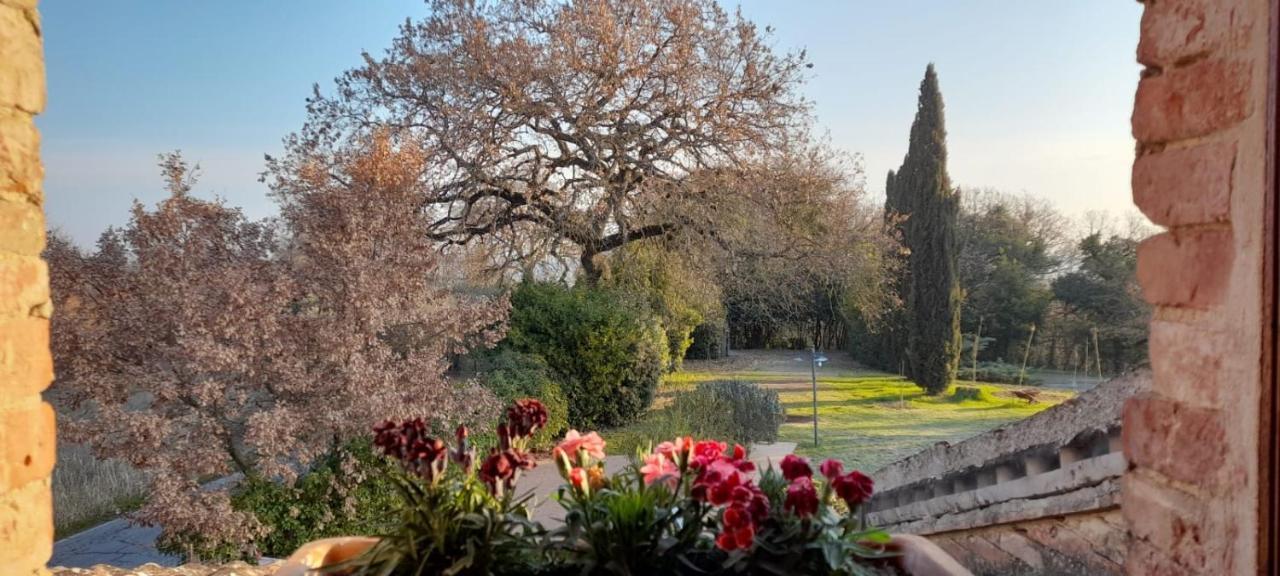 Il Casale Di Sandra Chiusi Zewnętrze zdjęcie