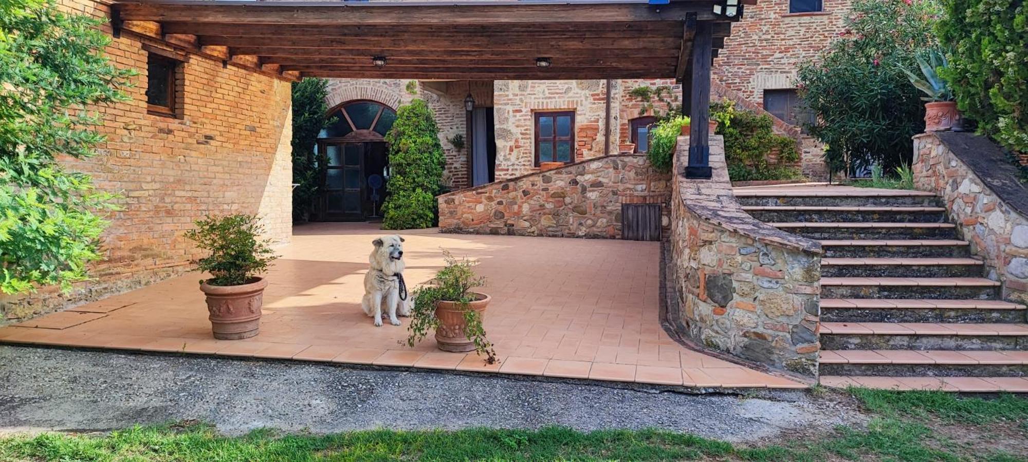 Il Casale Di Sandra Chiusi Zewnętrze zdjęcie
